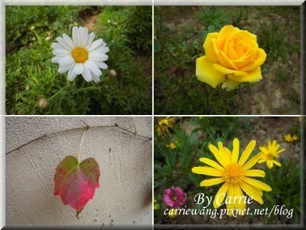 【苗栗旅遊】天空之城．天堂古堡 @飛天璇的口袋