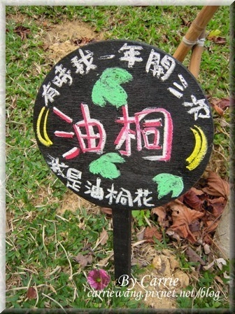 【苗栗旅遊】天空之城．天堂古堡 @飛天璇的口袋