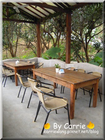 【苗栗旅遊】天空之城．鳥v.s人 @飛天璇的口袋