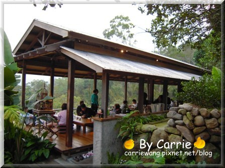 【苗栗旅遊】天空之城．鳥v.s人 @飛天璇的口袋