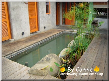 【苗栗旅遊】天空之城．鳥v.s人 @飛天璇的口袋