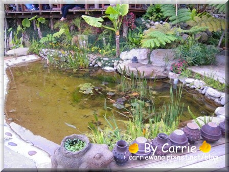 【苗栗旅遊】天空之城．鳥v.s人 @飛天璇的口袋