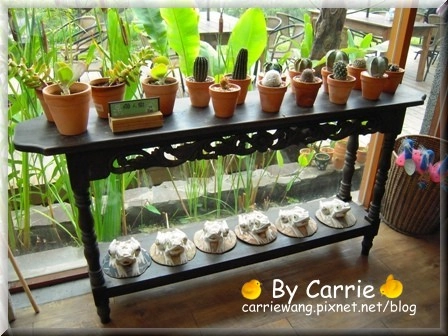 【苗栗旅遊】天空之城．鳥v.s人 @飛天璇的口袋