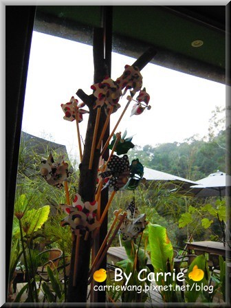 【苗栗旅遊】天空之城．鳥v.s人 @飛天璇的口袋