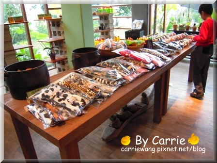 【苗栗旅遊】天空之城．鳥v.s人 @飛天璇的口袋