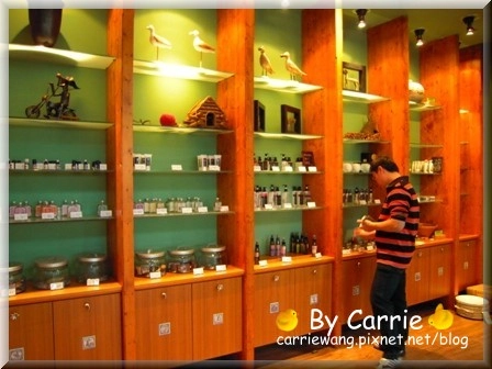 【苗栗旅遊】天空之城．鳥v.s人 @飛天璇的口袋