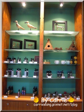 【苗栗旅遊】天空之城．鳥v.s人 @飛天璇的口袋