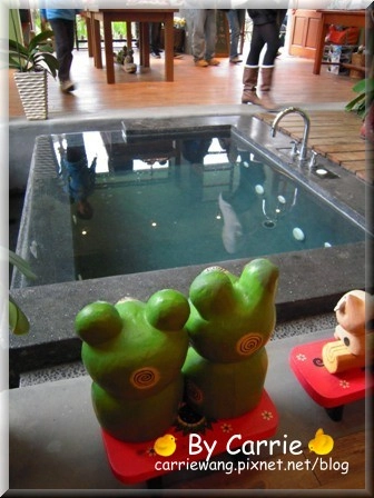 【苗栗旅遊】天空之城．鳥v.s人 @飛天璇的口袋