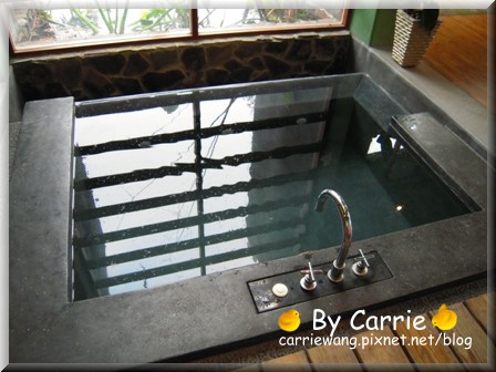 【苗栗旅遊】天空之城．鳥v.s人 @飛天璇的口袋