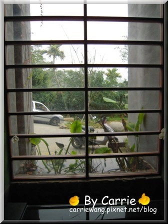 【苗栗旅遊】天空之城．鳥v.s人 @飛天璇的口袋