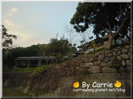 【苗栗旅遊】天空之城．鳥v.s人 @飛天璇的口袋