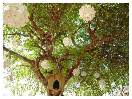 【台中旅遊】紙箱王主題餐廳．大坑店 @飛天璇的口袋