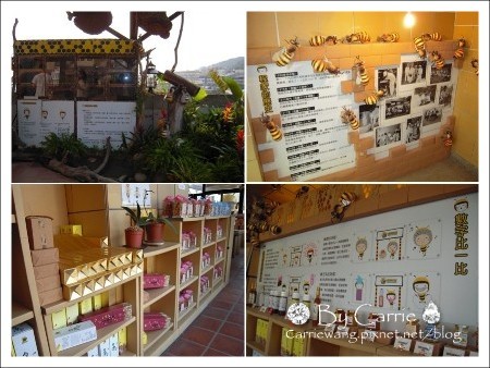 【台中旅遊】紙箱王主題餐廳．大坑店 @飛天璇的口袋