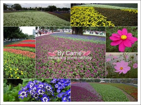 【台北花博】圓山公園區．文化館v.s真相館v.s爭艷館v.s名人館v.s流行館《五大主題館》 @飛天璇的口袋