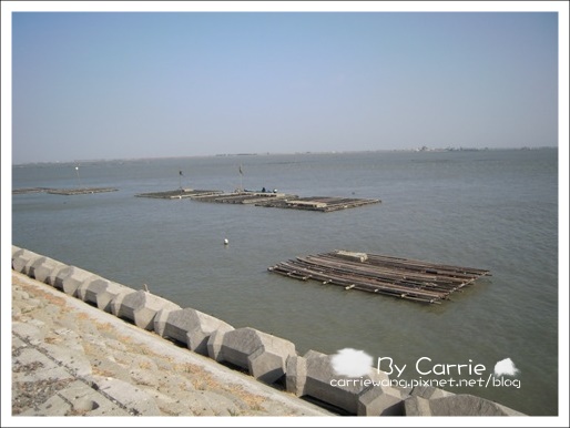 【嘉義旅遊】東石漁港．漁人碼頭 @飛天璇的口袋