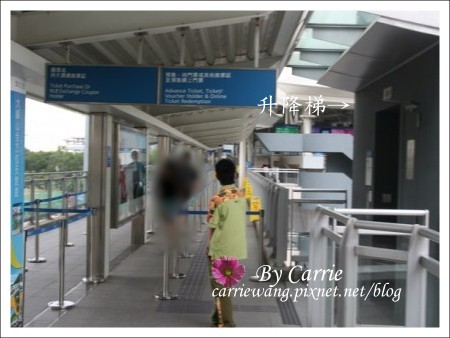 【香港景點推薦】昂坪360纜車v.s大嶼山大佛 @飛天璇的口袋