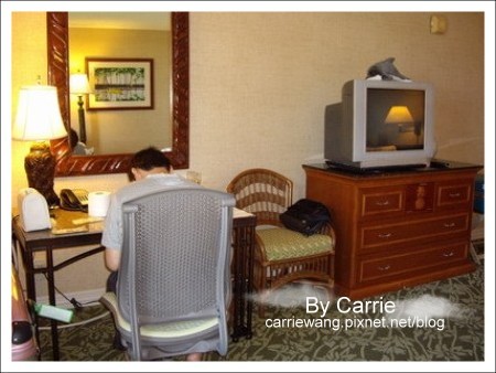 【夏威夷自由行】Day2 希爾頓唯克樂渡假村&rarr;黑沙灘&rarr;火山國家公園&rarr;希洛火山豆工廠 @飛天璇的口袋