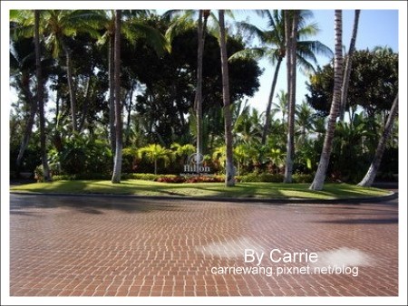 【夏威夷自由行】Day2 希爾頓唯克樂渡假村&rarr;黑沙灘&rarr;火山國家公園&rarr;希洛火山豆工廠 @飛天璇的口袋