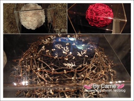 【台北花博】圓山公園區．文化館v.s真相館v.s爭艷館v.s名人館v.s流行館《五大主題館》 @飛天璇的口袋