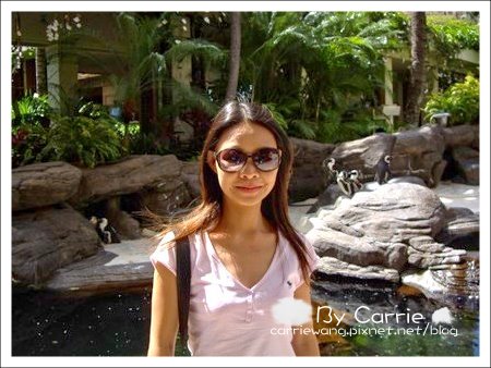 【夏威夷自由行】Day3 希爾頓唯克樂渡假村&rarr;檀香山&rarr;歐胡島希爾頓夏威夷人酒店&rarr;檀香山市區 @飛天璇的口袋