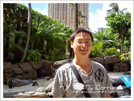 【夏威夷自由行】Day3 希爾頓唯克樂渡假村&rarr;檀香山&rarr;歐胡島希爾頓夏威夷人酒店&rarr;檀香山市區 @飛天璇的口袋