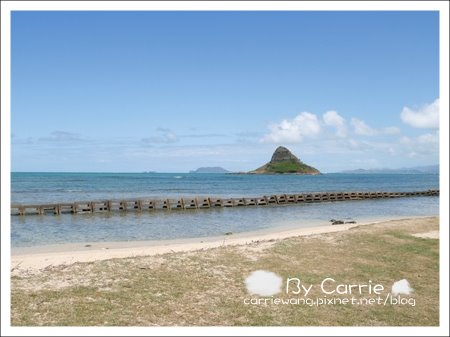 【夏威夷自由行】Day4 珍珠港&rarr;檀香山市區半日遊&rarr;恐龍灣&rarr;愛之船 @飛天璇的口袋