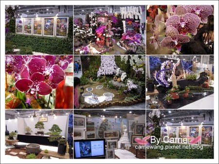 【台北花博】圓山公園區．文化館v.s真相館v.s爭艷館v.s名人館v.s流行館《五大主題館》 @飛天璇的口袋