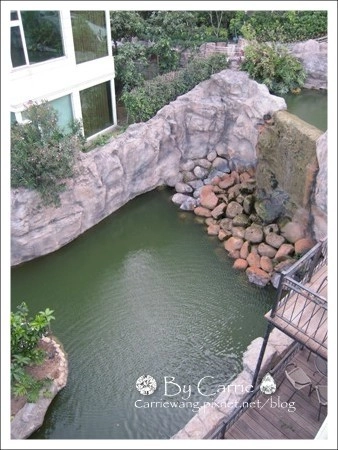 【台中下午茶】清新溫泉渡假飯店．新采餐廳SEASONS下午茶Buffet @飛天璇的口袋