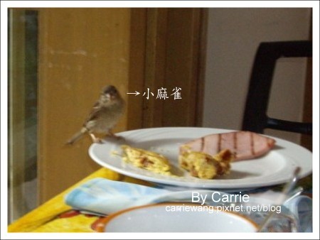 【夏威夷自由行】Day2 希爾頓唯克樂渡假村&rarr;黑沙灘&rarr;火山國家公園&rarr;希洛火山豆工廠 @飛天璇的口袋