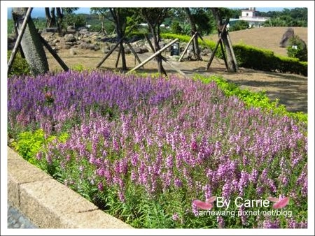 【北部旅遊景點】北海岸風情+石門洞+白沙灣+三芝旅遊服務中心+源興居(李登輝的出生地) @飛天璇的口袋