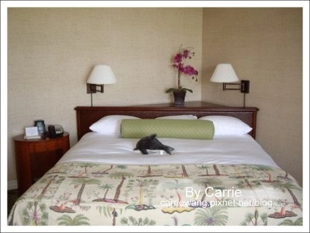 【夏威夷自由行】Day1 台灣&rarr;檀香山&rarr;大島&rarr;希爾頓唯克樂渡假村 @飛天璇的口袋