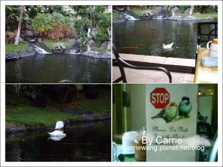 【夏威夷自由行】Day2 希爾頓唯克樂渡假村&rarr;黑沙灘&rarr;火山國家公園&rarr;希洛火山豆工廠 @飛天璇的口袋